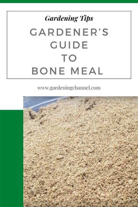 Bone Meal Explained: A Gardener’s Guide - Gardening Channel