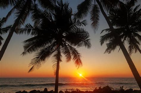 Varkala beach at sunset stock photo. Image of backgrounds - 56207092