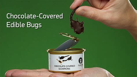 Chocolate-Covered Edible Bugs from ThinkGeek - YouTube