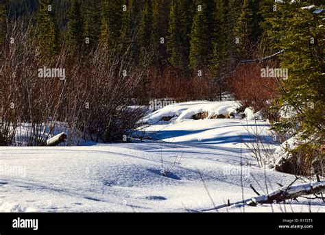 winter scene in Kananaskis country in the mountains of Alberta Stock ...