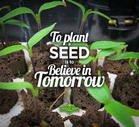 Garden Quotes – Sandia Seed Company