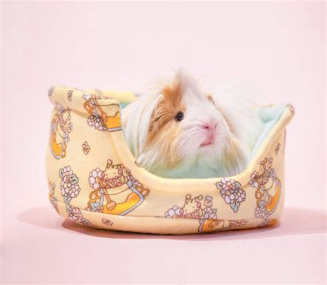 Guinea Pig Gifts and Fleece Beds – Guineapig Wheekly UK