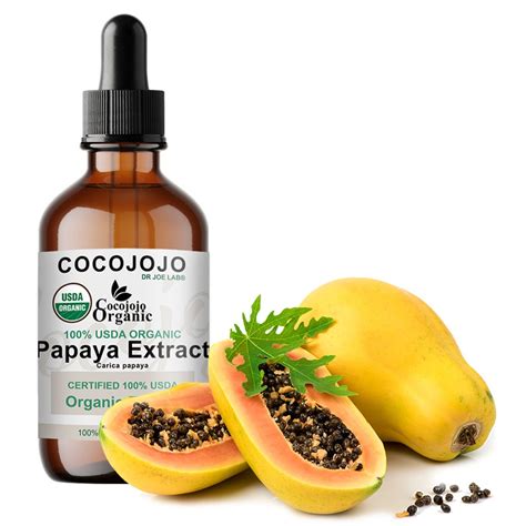 Organic Papaya Extract USDA Certified Alcohol Free Papaya Plant Extract ...