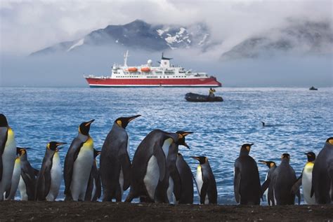 Antarctica Tourism Numbers Surge - Cruise Industry News | Cruise News