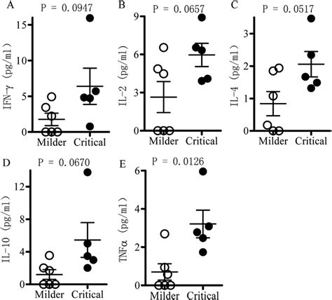 Serum expression levels of IFN-g (A), IL-2 (B), IL-4 (C), IL-10 (D ...