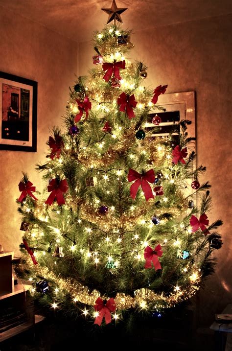 Glowing Christmas Tree Free Photo Download | FreeImages