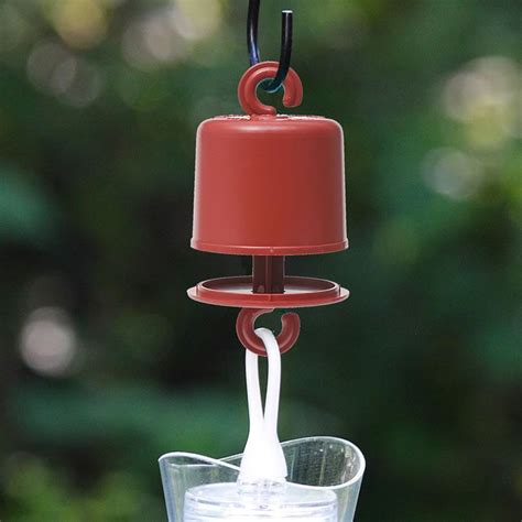 Perky-Pet® AntGuard® for Hummingbird Feeders | 245L | perkypet.com