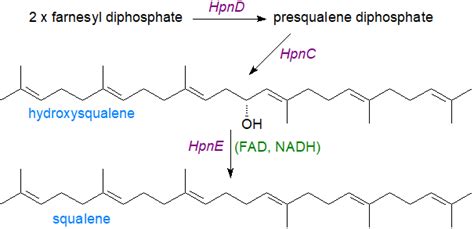 Hopanoids, bacteriohopanetetrol, tetrahymanol - structure, occurrence, biochemistry and function