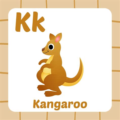 flashcard for kids, kangaroo vector 17790478 Vector Art at Vecteezy