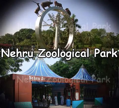 Nehru Zoological Park Hyderabad, Address, Timings, Entry Fee, Entry Ticket Cost, Price