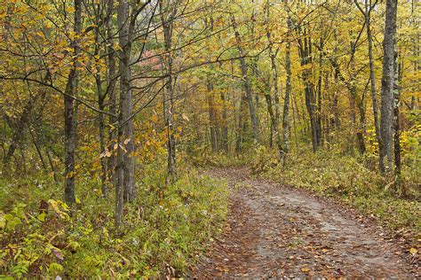 Autumn-Vermont-Back Country Road-Trees Photograph by Andy Gimino - Fine Art America