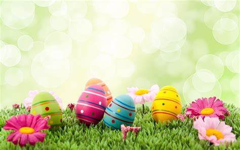 Vibrant Easter Eggs - HD Wallpaper for a Joyful Holiday