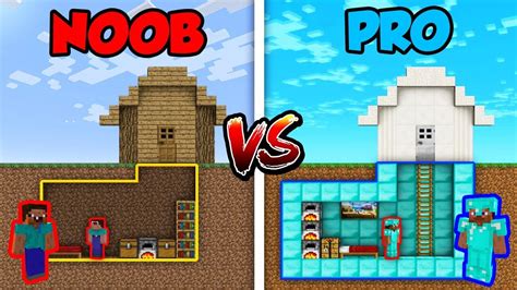 Noob Vs Pro