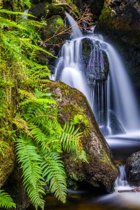 Lodore Falls Waterfall, Lake District Travel Guide