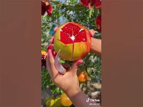 Aanar fruit #shorts || Pomegranate - YouTube