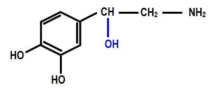 Structure and synthesis of endogenous catecholamines | Deranged Physiology