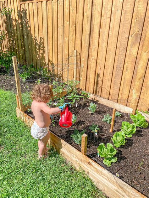 Tips & Tricks Learned From Our First Backyard Vegetable Garden | To & Fro