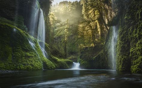 nature, Landscape, Oregon, Waterfall, Moss, Forest, Mist, Sunrise, USA, Pine Trees, Water ...