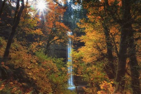 The Best Scenic Drives for Fall Colors in Oregon - Portland Living on ...