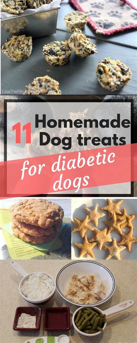 11 Diabetic Dog Treats Recipes Your Pup Will Love - Furry Ark | Diabetic dog treat recipe, Dog ...