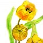 Tulips flowers, Watercolor painting — Stock Photo © Jershova #13753154