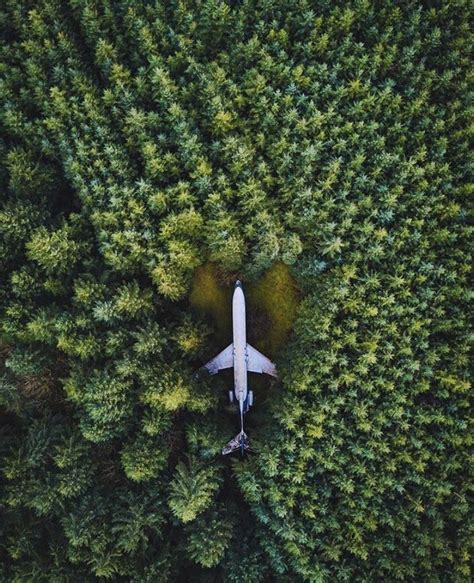 An abandoned plane in the middle of the forest (761x937) Beautiful ...