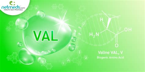 Valinemia: Causes, Symptoms, Diagnosis, And Treatment Of This Autosomal Recessive Disorder