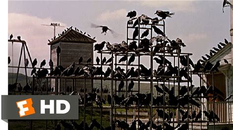 Crows on the Playground - The Birds (5/11) Movie CLIP (1963) HD - YouTube