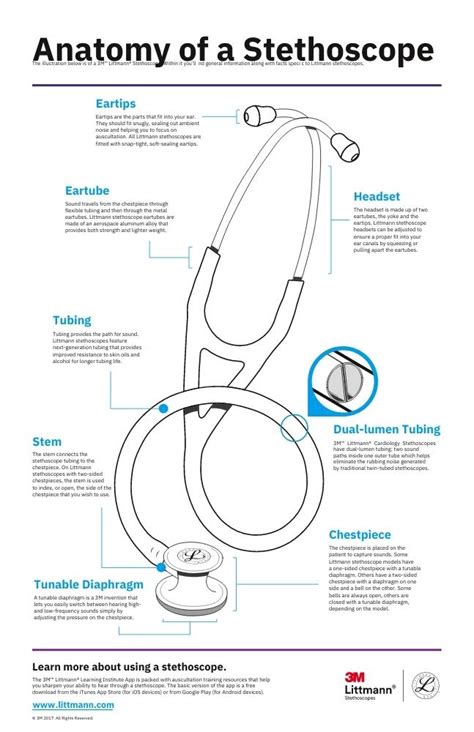 Stethoscope Parts And Functions