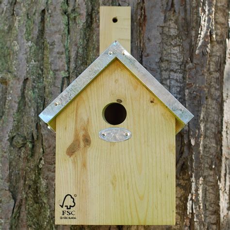 Buy Blue tit nesting box: Delivery by Crocus