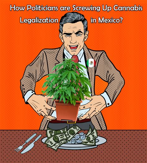 How Politicians are Screwing Up Cannabis Legalization in Mexico (Sound Familiar?)