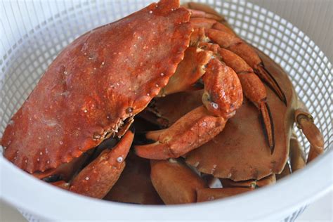 How To Cook Crab - Recipes.net