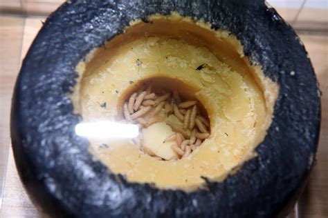 Casu Marzu, The Italian Maggot Cheese That's Illegal Around The World