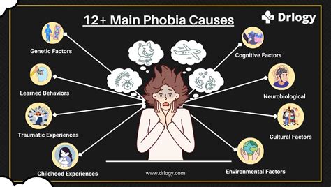 What are the symptoms of Dementophobia?