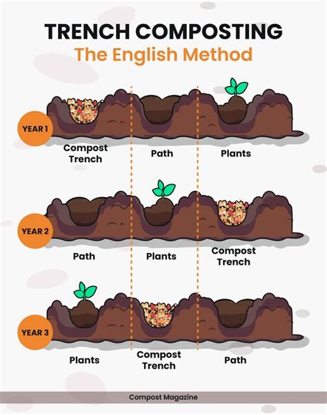 Trench Composting: The Lazy Gardener's Secret to Great Soil