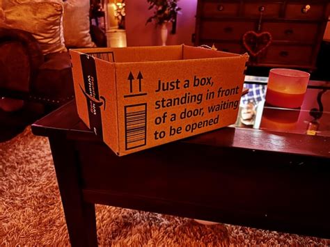 Greatest Amazon Box Ever! : r/funny