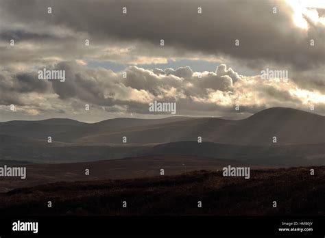 winter in Wicklow Mountains Stock Photo - Alamy