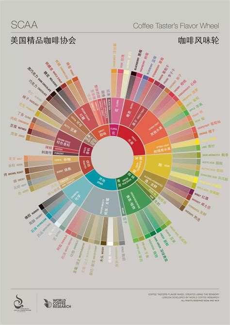 Where do flavors come from?-Torch Coffee Labs