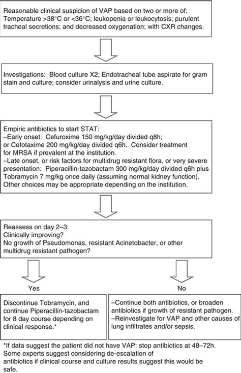 Infectious Complications in Mechanically Ventilated Patients | Obgyn Key