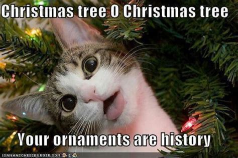 My cat used to shake the tree until the ornaments would fall off ...