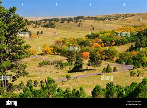 Wildlife Loop Road, Custer State Park, Black Hills, South Dakota, USA Stock Photo - Alamy