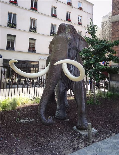 HD photos of woolly mammoth sculpture in Jardin des Plantes - Page 146