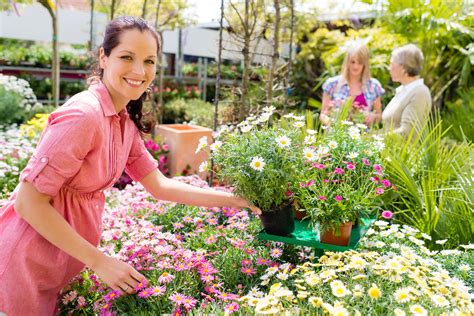 Top 6 Steps To Follow When Starting Flower Farming - Mazero agrifood company