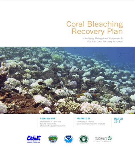 Reef Response | Coral Bleaching Recovery Plan