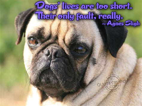 Funny Dog Quotes And Sayings. QuotesGram