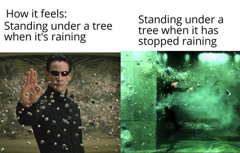 Matrix meme : r/dankmemes