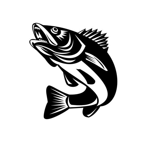 Walleye Fish Jumping Isolated Black and White Retro 1913008 Vector Art at Vecteezy