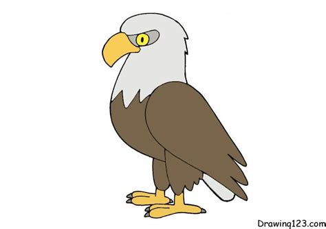 Top 136 + Cartoon eagle drawing - Delhiteluguacademy.com