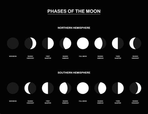 What are Moon Phases? - Numerologist.com