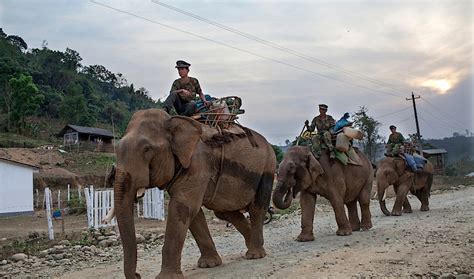 War elephants still exist. But only in one forbidding place. | The World from PRX